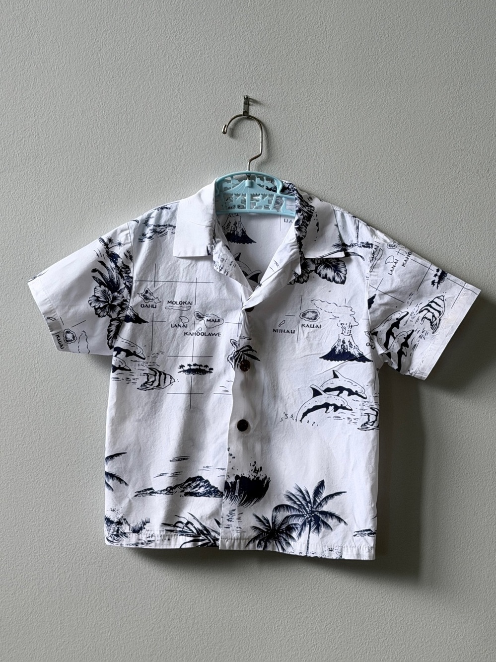 Boys Palmwave Hawaii Cotton Hawaiian Shirt Size 3/4